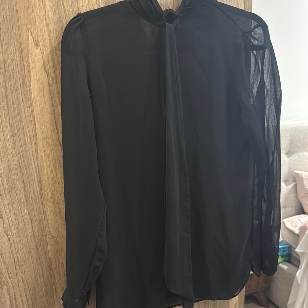 Zara Black Sheer Blouse